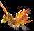 Phoenix pet